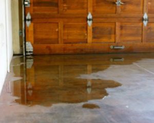 Garage-Door-Seals_22696_34418_600